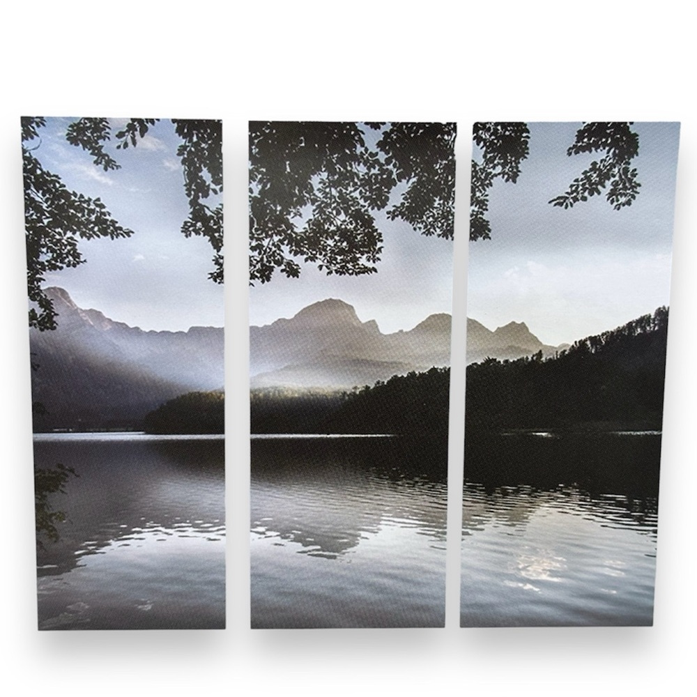 Forest Lake Scenic 3pc Canvas Set- NEW